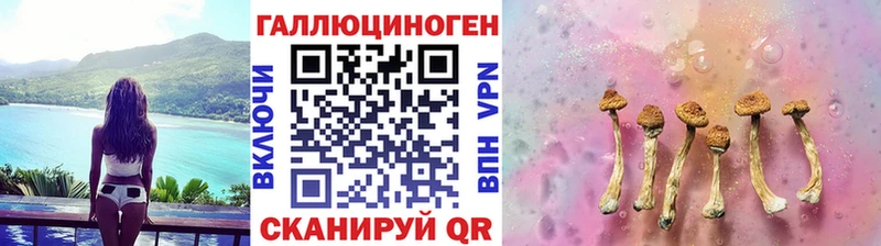 Псилоцибиновые грибы прущие грибы  купить закладку  блэк спрут зеркало  Белокуриха 